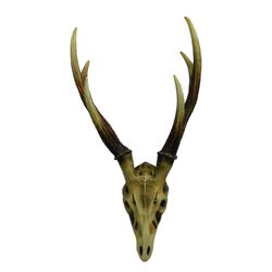 Enticing Polyresin Skeleton - Benzara